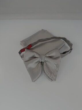 Grey Q brand Tie and matching pocket square